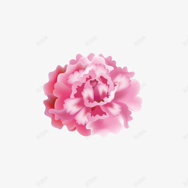 红色牡丹矢量图ai免抠素材_新图网 https://ixintu.com 3D PNG免抠图下载 富贵 秋天 花卉 装饰 矢量图