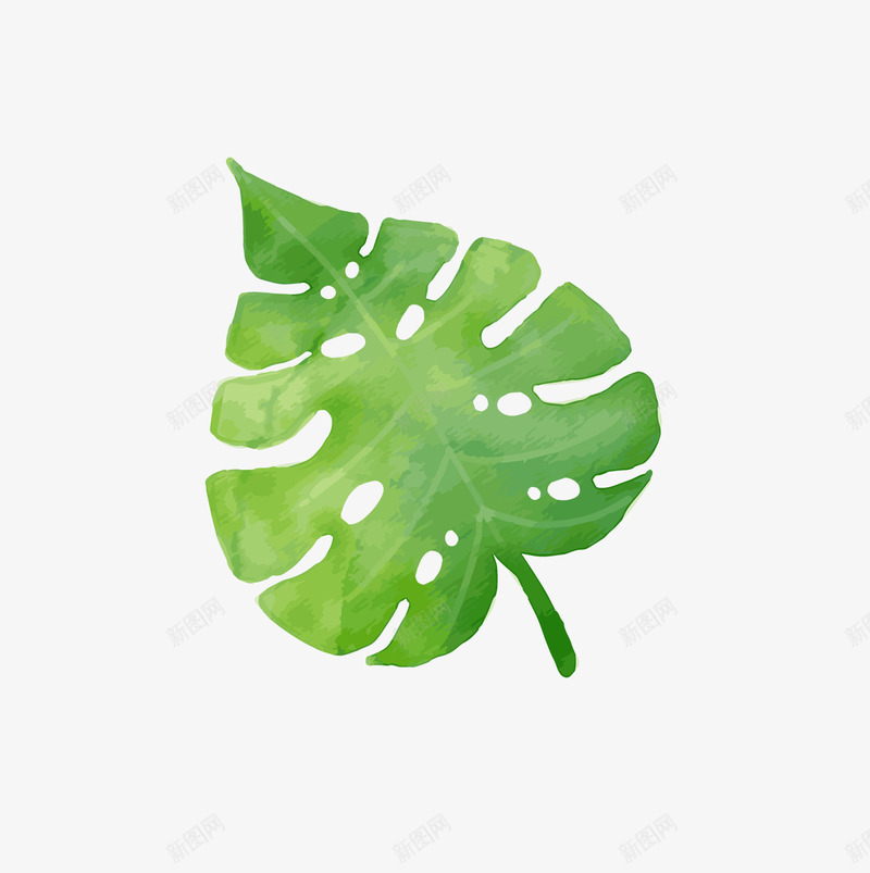手绘夏季小清新叶子植物png免抠素材_新图网 https://ixintu.com 夏季植物 小清新植物 手绘 绿色叶子 背景装饰