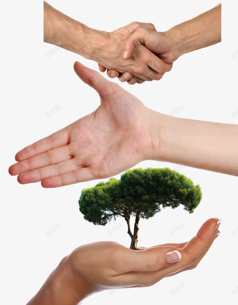 手势png免抠素材_新图网 https://ixintu.com 人物手型 公益 小树 手 手势 手掌 握手 环保
