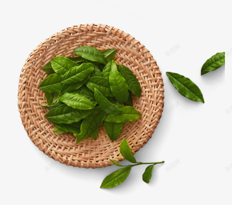 绿色卡通茶叶背景装饰psd免抠素材_新图网 https://ixintu.com 卡通植物 卡通茶叶 叶子 小清新 绿色茶叶 背景装饰