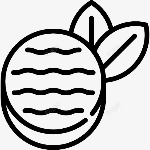 薄荷糖图标png_新图网 https://ixintu.com 甜 甜点 糖 糖果 食品