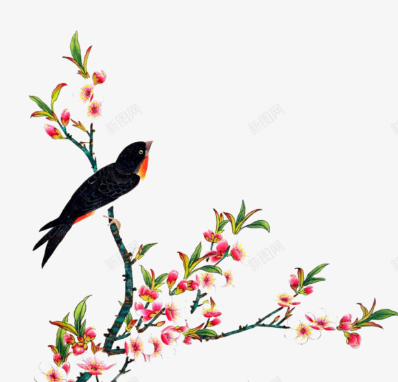 古朴手绘小鸟植物png免抠素材_新图网 https://ixintu.com 古朴 小鸟 植物