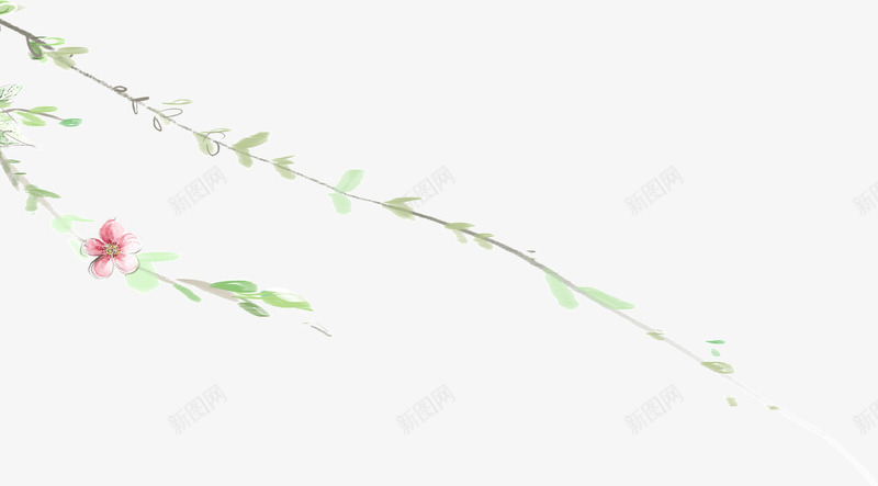 绿色的柳树枝png免抠素材_新图网 https://ixintu.com 柳树枝 植物 绿色