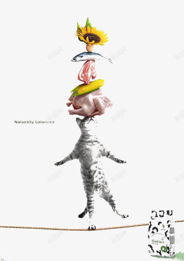 创意动植物组合png免抠素材_新图网 https://ixintu.com 向日葵 火鸡 猫
