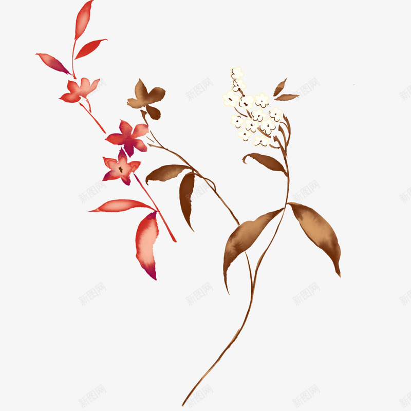 干花png免抠素材_新图网 https://ixintu.com 小花 干花 枯萎小花 秋天