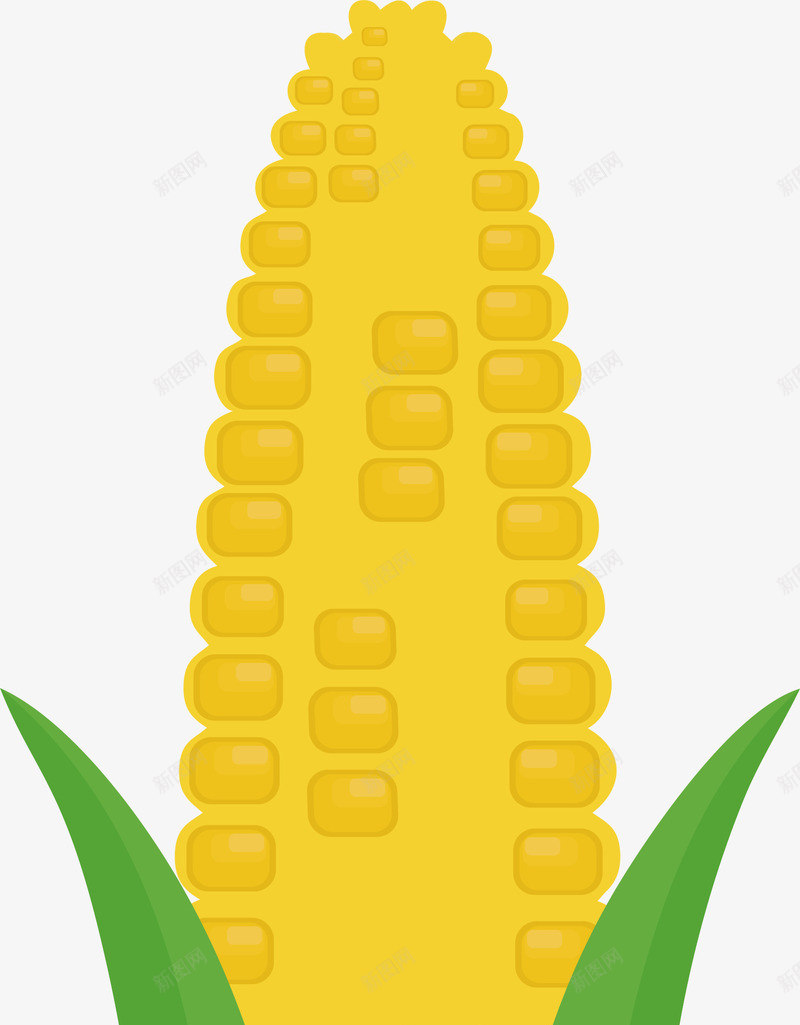 卡通玉米立秋插画矢量图ai免抠素材_新图网 https://ixintu.com 丰收 卡通玉米 插画 玉米 玉米粒 秋天 秋天植物 秋季 矢量图