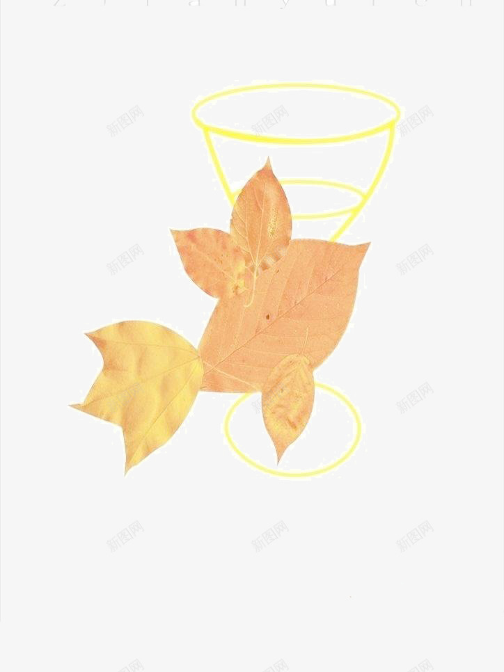 枫叶杯子png免抠素材_新图网 https://ixintu.com 杯子 枫叶 树 橙色 生命树