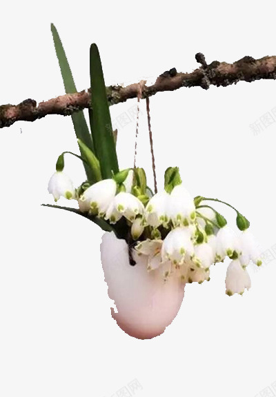 掉在树上的花png免抠素材_新图网 https://ixintu.com 吊带 树枝 白色 花