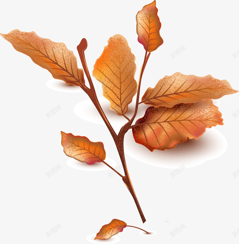 秋天干枯的树枝与枝叶png免抠素材_新图网 https://ixintu.com 干枯 手绘 树叶枝 树枝与枝叶 秋天 装饰插图