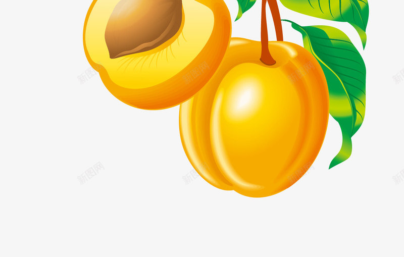 杨桃png免抠素材_新图网 https://ixintu.com 杨桃 杨桃树 树叶 树枝 桃核 桃花