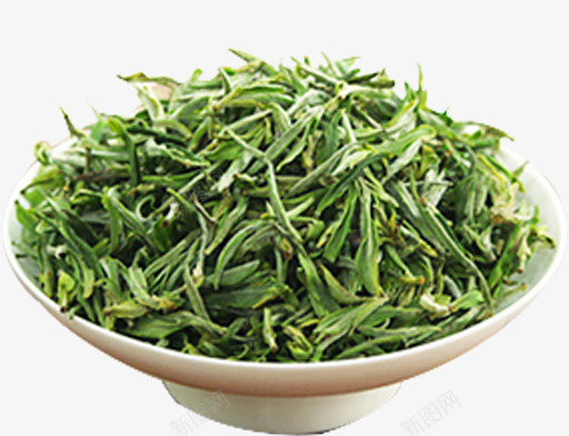 茶叶png免抠素材_新图网 https://ixintu.com 完 绿色 茶叶 茶叶促销