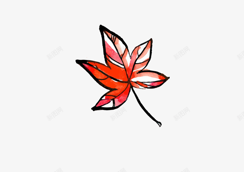 手绘水彩插画红色枫叶png免抠素材_新图网 https://ixintu.com 手绘枫叶 插画枫叶 枫叶 枫叶png 水彩红色枫叶 矢量枫叶