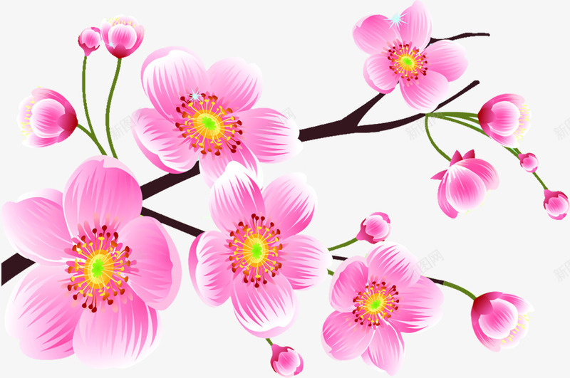 手绘粉色桃花树枝png免抠素材_新图网 https://ixintu.com 树枝 桃花 粉色