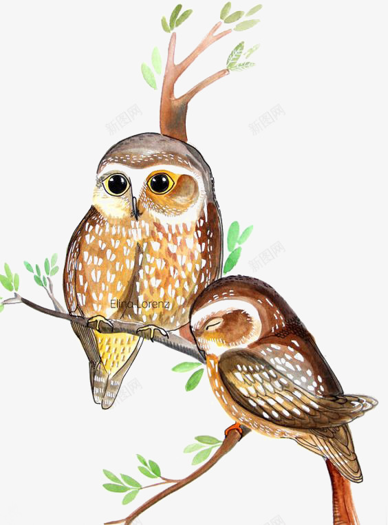 水彩猫头鹰png免抠素材_新图网 https://ixintu.com 动物 卡通 手绘 插画 树枝 植物 猫头鹰