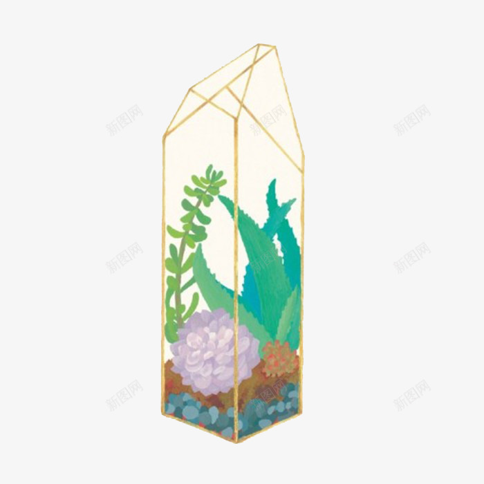 笼中多肉png免抠素材_新图网 https://ixintu.com 卡通 多肉 多肉植物 多肉组合 彩铅 手绘 植物 水墨 水彩 玻璃房 球笼