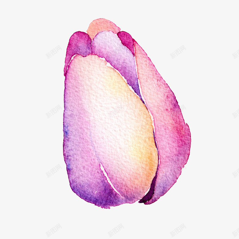 手绘水彩花蕾png免抠素材_新图网 https://ixintu.com 叶子 彩绘 树叶 树枝 水彩 水彩花卉 玫瑰花 矢量植物 花朵 花枝 花瓣 花草