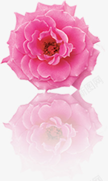 手绘粉色绚丽分层花朵png免抠素材_新图网 https://ixintu.com 分层 粉色 绚丽 花朵