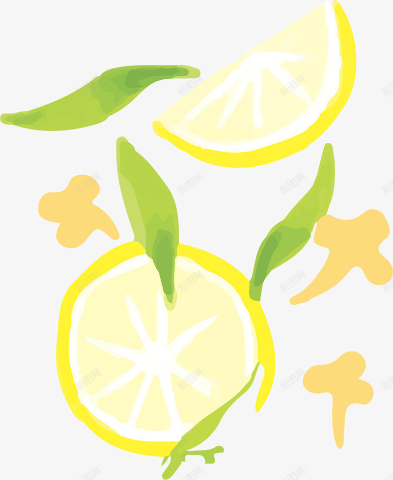 水彩柠檬花茶矢量图eps免抠素材_新图网 https://ixintu.com 手绘茶叶 柠檬 柠檬花茶 水彩茶叶 绿色茶叶 茶叶 矢量图