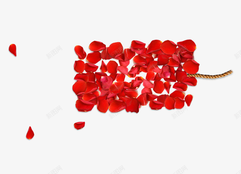 红玫瑰花瓣png免抠素材_新图网 https://ixintu.com 卡通手绘 树枝 红玫瑰 绿色植物 装饰图案 鲜花绿叶