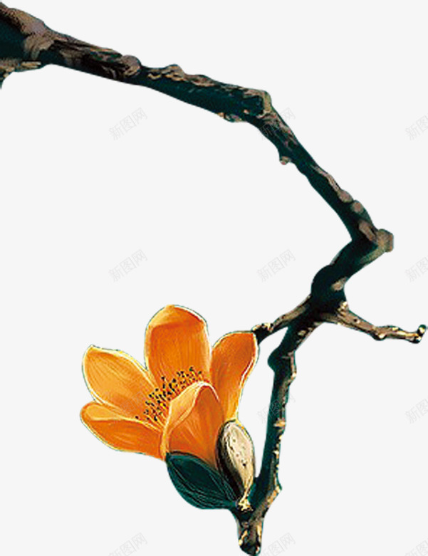 手绘树枝花朵插图png免抠素材_新图网 https://ixintu.com 插图 树枝 花朵