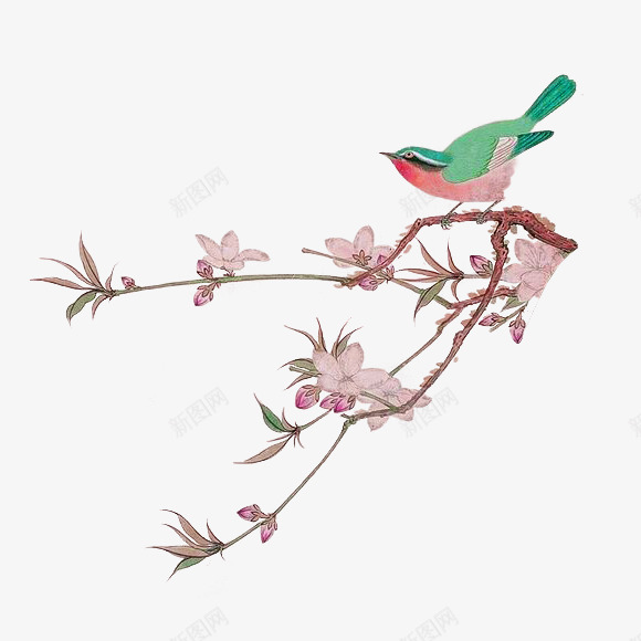 褐色简约花枝小鸟装饰图案png免抠素材_新图网 https://ixintu.com 免抠PNG 小鸟 简约 花枝 装饰图案 褐色