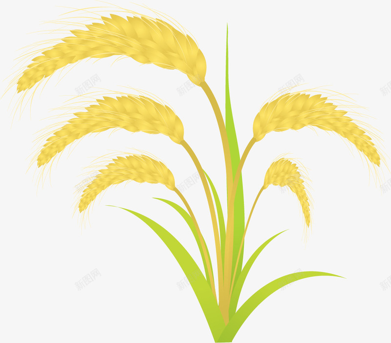 卡通装饰水稻图标png_新图网 https://ixintu.com 卡通素材 卡通装饰 小鸟 插画 水果 玩具 花朵 赠品小图标