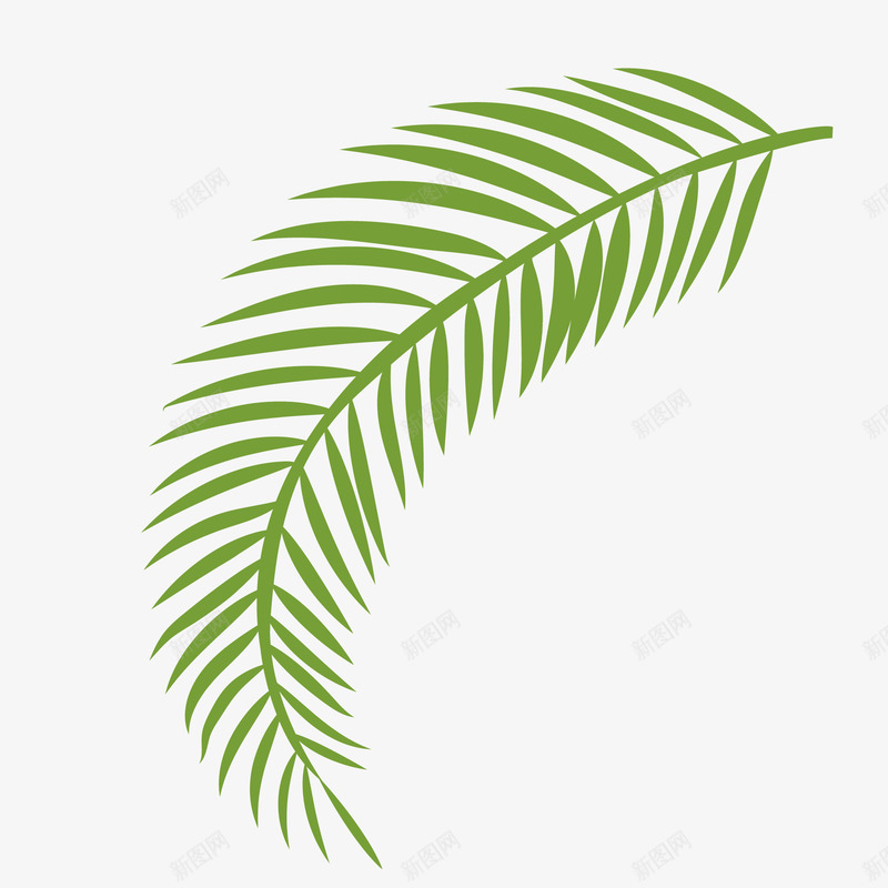 绿叶矢量图ai免抠素材_新图网 https://ixintu.com 卡通叶子 夏季 植物 沙滩 环保 矢量绿叶免抠PNG 绿叶 矢量图