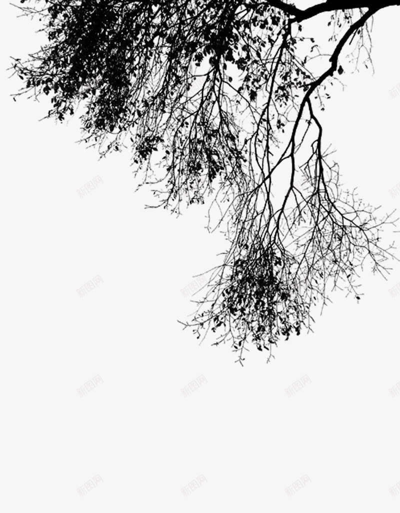 树枝水墨画中国画png免抠素材_新图网 https://ixintu.com 中国画 树枝 水墨画