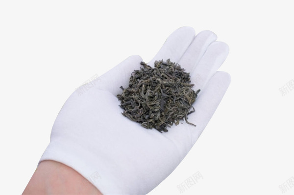 手带白手套拿着绿茶叶png免抠素材_新图网 https://ixintu.com 品鉴 天猫 手 海报 淘宝 白手套 绿茶叶 绿茶籽 茶叶促销