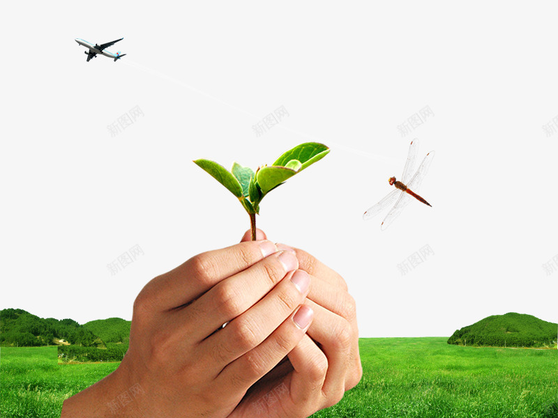 手捧幼芽草地png免抠素材_新图网 https://ixintu.com 幼芽 手捧嫩芽 自然 草地 草地素材 蜻蜓 飞机