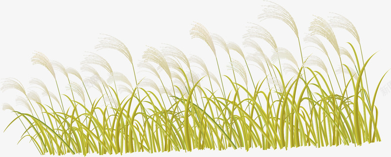 秋天稻草png免抠素材_新图网 https://ixintu.com 秋天 稻草
