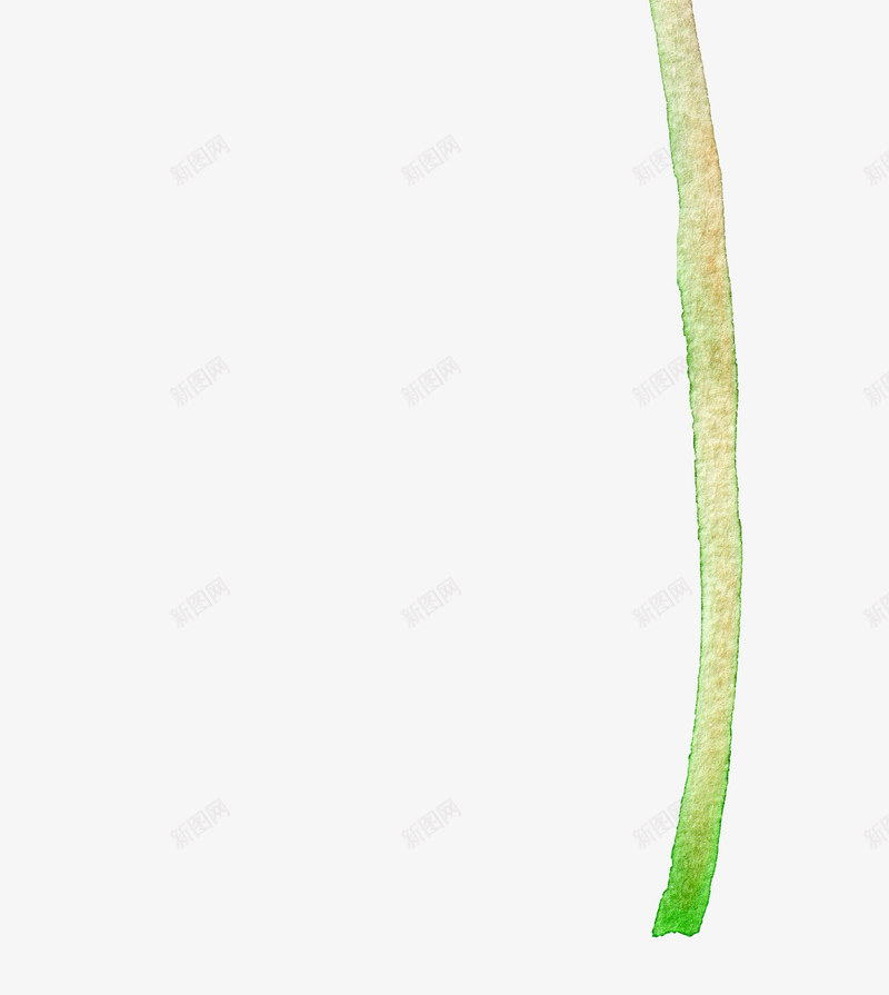 手绘水彩花蕾png免抠素材_新图网 https://ixintu.com 叶子 彩绘 树叶 树枝 水彩 水彩花卉 玫瑰花 矢量植物 花朵 花枝 花瓣 花草