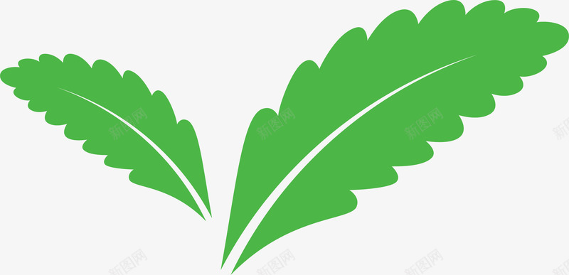 两片水彩茶叶矢量图ai免抠素材_新图网 https://ixintu.com 两片 新鲜茶叶 水彩茶叶 绿叶茶叶 绿色茶叶 茶叶 矢量图