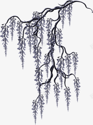 卡通手绘柳树植物png免抠素材_新图网 https://ixintu.com 中国风 柳树枝 树枝 黑白色