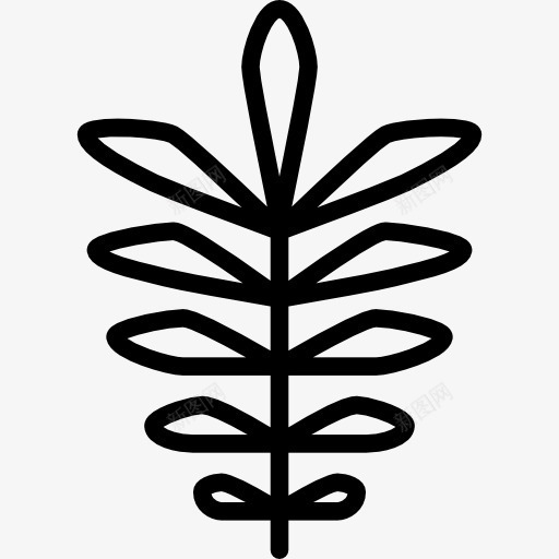 山核桃图标png_新图网 https://ixintu.com 叶 山核桃 性质 植物 秋天