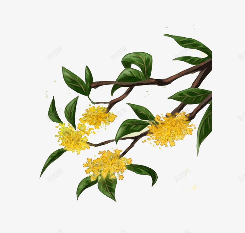 一叶知秋png免抠素材_新图网 https://ixintu.com 一叶知秋 国庆节 手绘秋树 植物 秋天 秋树