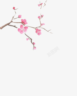 树枝上的粉色花朵中国画素材