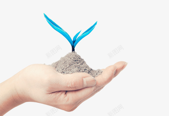 手中的小树苗png免抠素材_新图网 https://ixintu.com 手势 树苗 环保