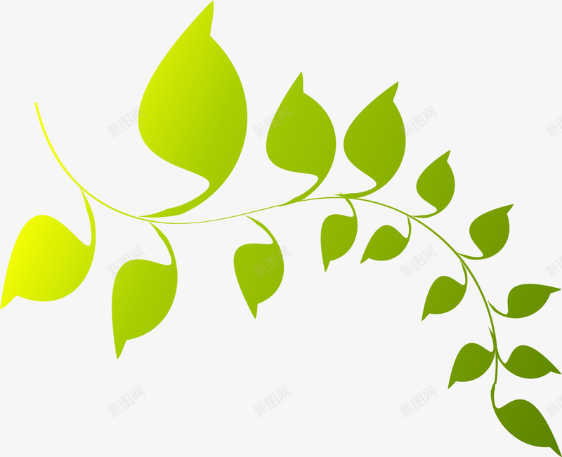 绿色闪耀树藤png免抠素材_新图网 https://ixintu.com 植物叶子 清新植物 绿色树藤 花枝藤蔓 装饰图案 闪耀树枝