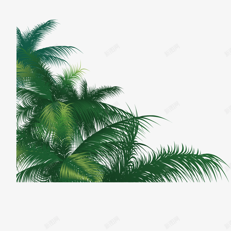 卡通夏日椰树枝png免抠素材_新图网 https://ixintu.com 卡通 夏日 椰树枝