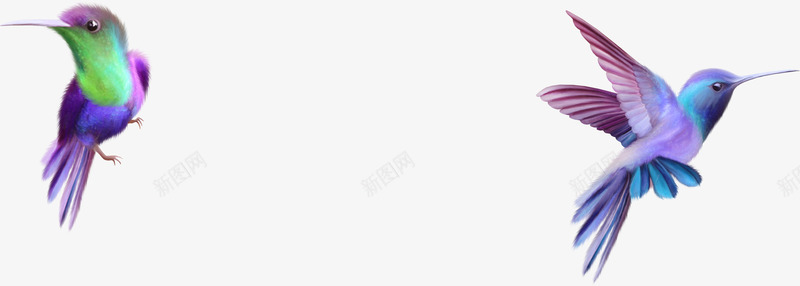 小鸟飞翔可爱唯美png免抠素材_新图网 https://ixintu.com 可爱 小鸟 飞翔