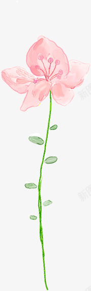 手绘淡彩花卉分层png免抠素材_新图网 https://ixintu.com 分层 图片 花卉