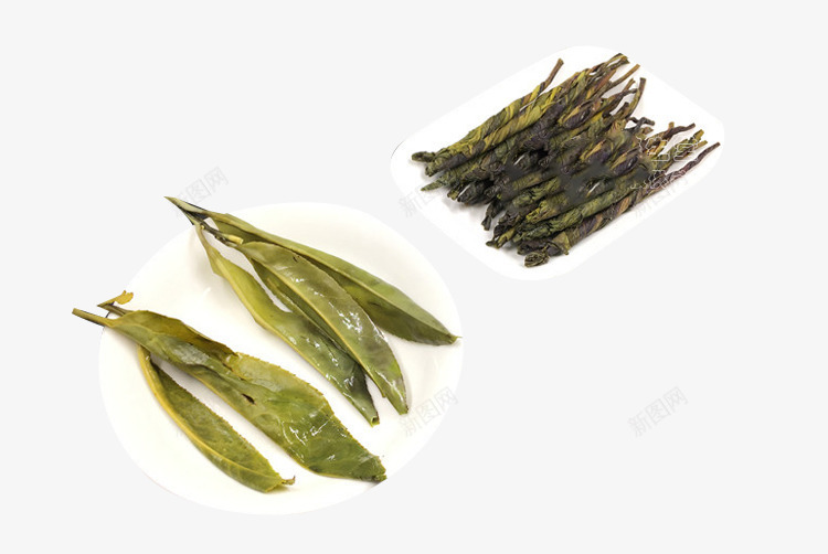泡开的大叶苦丁png免抠素材_新图网 https://ixintu.com 大叶苦丁茶叶 泡开的苦丁茶叶 苦丁茶 茶叶叶子实物
