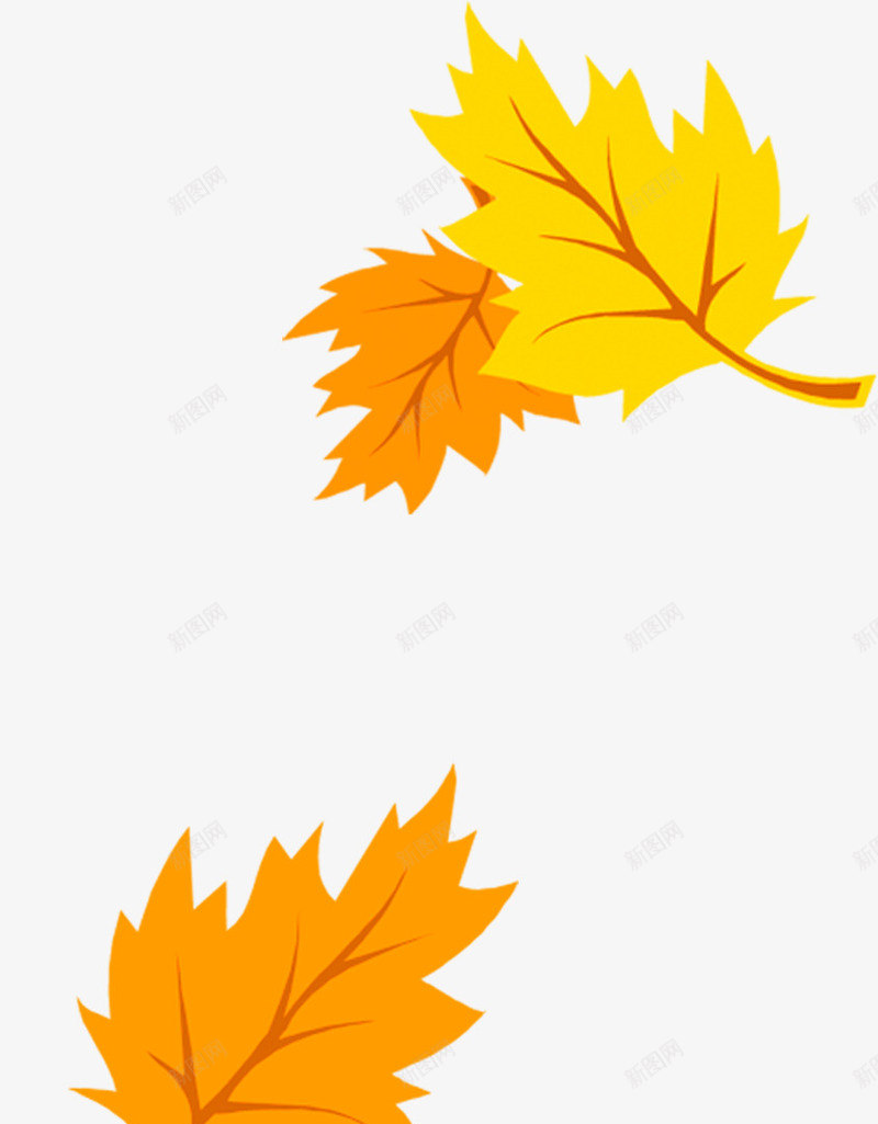 两片大小的金色枫叶png免抠素材_新图网 https://ixintu.com 大小 枫叶 金色