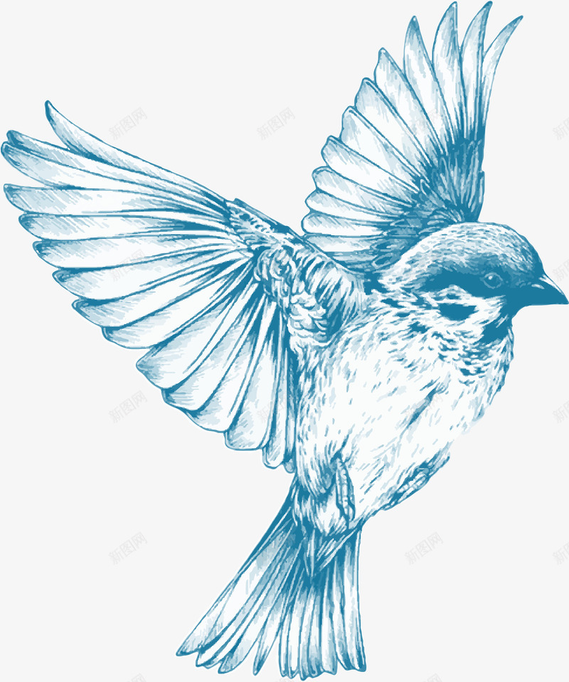 手绘飞行的小鸟png免抠素材_新图网 https://ixintu.com 动物 小鸟 手绘 生物 飞翔 飞行动物 鸟