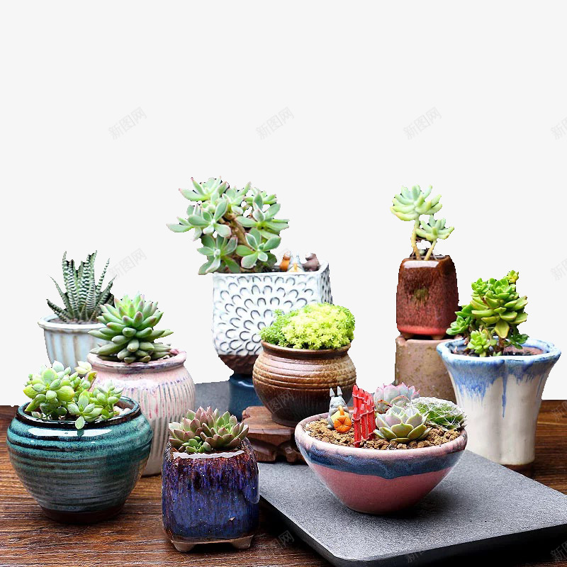 多肉植物盆景组合png免抠素材_新图网 https://ixintu.com 多肉植物 植物 盆景 盆景组合 组合