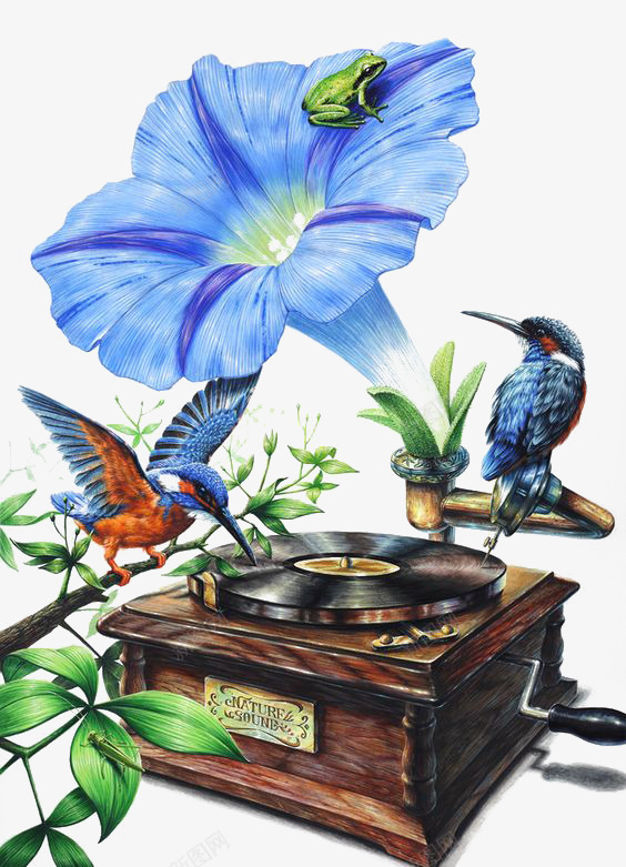 蓝色花朵png免抠素材_新图网 https://ixintu.com 卡通 唱片机 复古 小鸟 手绘 插画 牵牛花 花朵