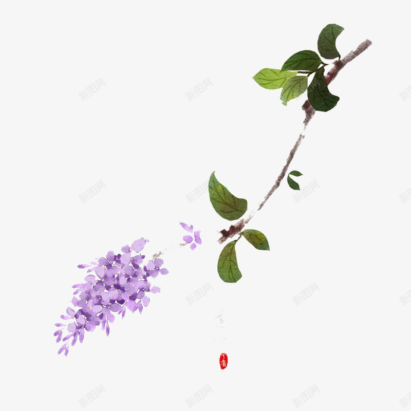 紫色丁香花png免抠素材_新图网 https://ixintu.com PNG素材 丁香花 树枝 绿叶