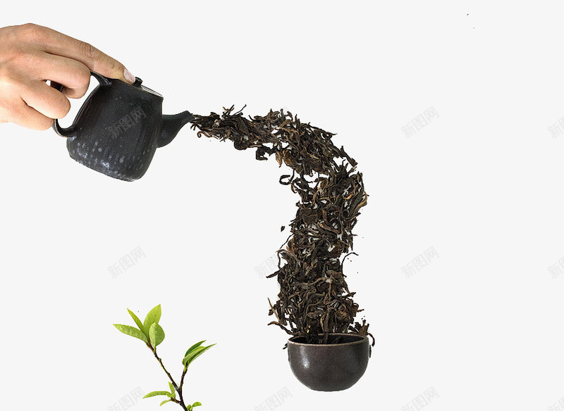 茶壶茶叶png免抠素材_新图网 https://ixintu.com 茶叶的创意拍摄