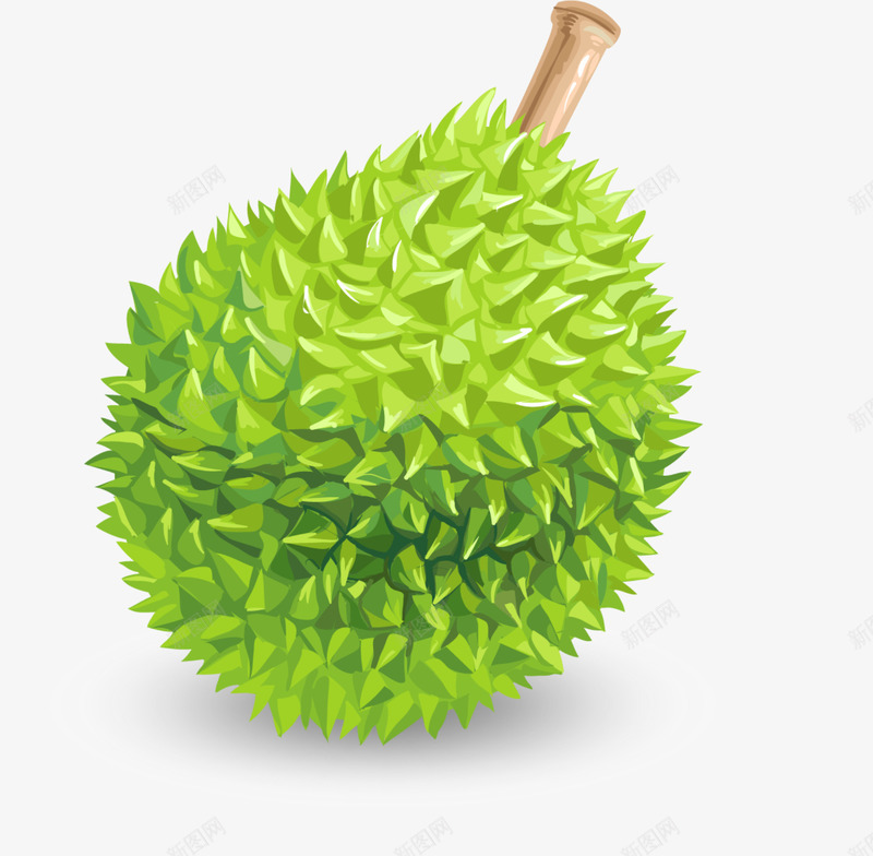 夏季水果绿色榴莲png免抠素材_新图网 https://ixintu.com 一个榴莲 夏天水果 夏季榴莲 夏季水果 水果之王 绿色榴莲